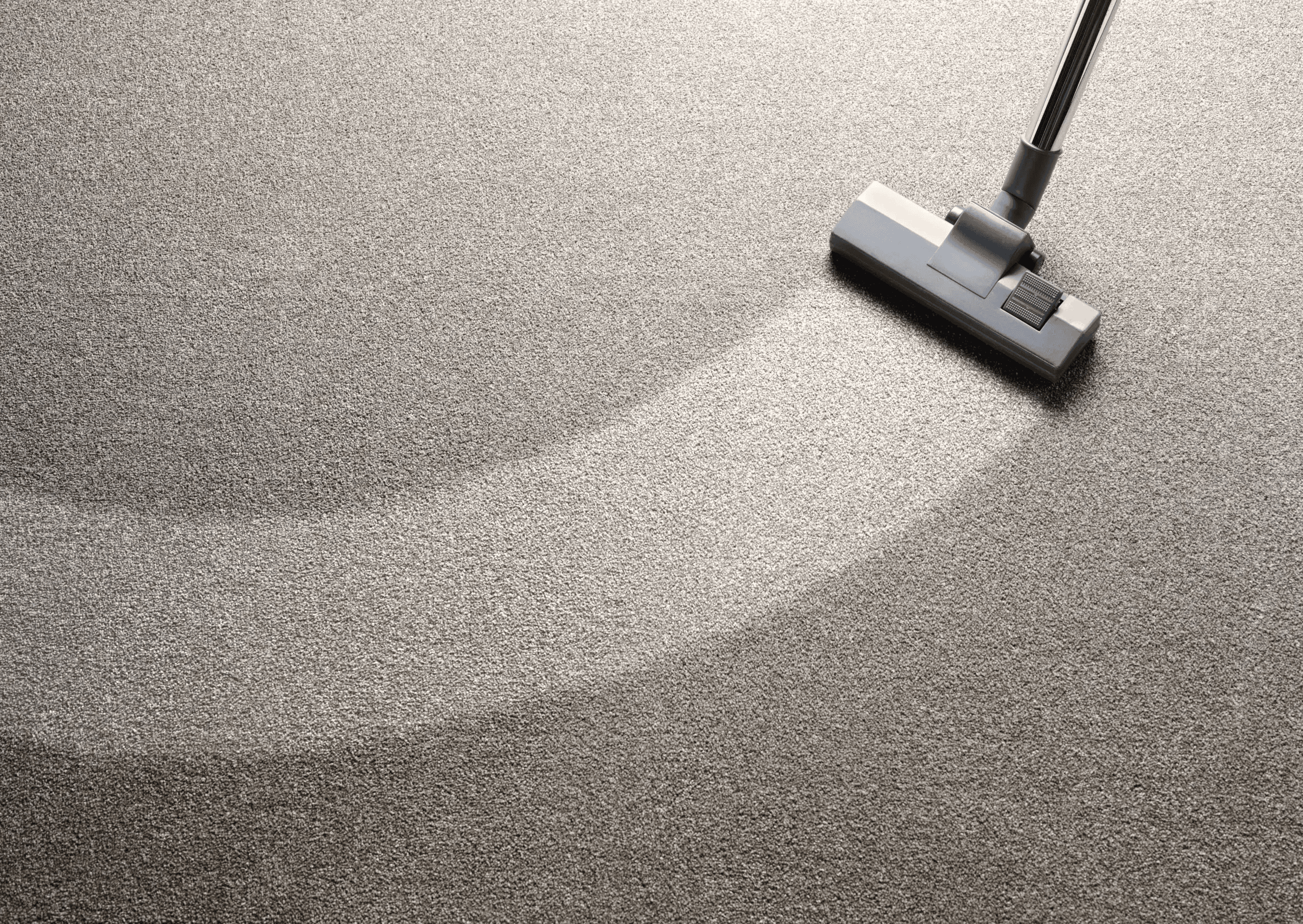 Carpet and upholstery cleaning in a commercial venue — Benley Cleaning