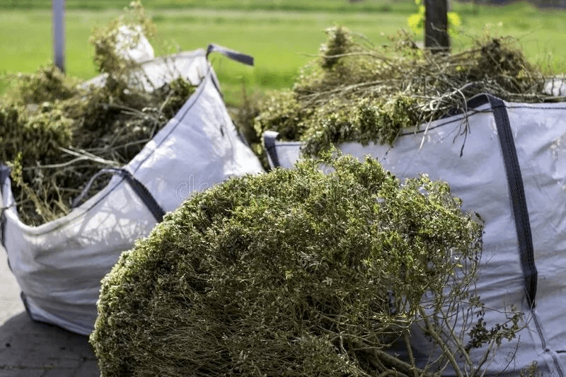 Garden clearance and landscaping in West Yorkshire — Benley Cleaning